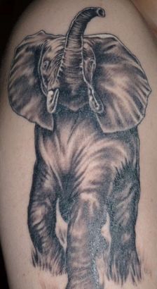 Animal tattoos, Elephant tattoos, Tattoos of Animal, Tattoos of Elephant, Animal tats, Elephant tats, Animal free tattoo designs, Elephant free tattoo designs, Animal tattoos picture, Elephant tattoos picture, Animal pictures tattoos, Elephant pictures tattoos, Animal free tattoos, Elephant free tattoos, Animal tattoo, Elephant tattoo, Animal tattoos idea, Elephant tattoos idea, Animal tattoo ideas, Elephant tattoo ideas, elephant tattoo images