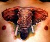 elephant head tattoo on chest