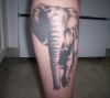 elephant tattoo on leg