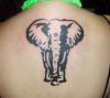 elephant tattoo on back