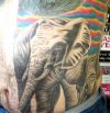 elephants tattoo on stomach