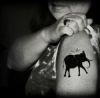tribal elephant tattoo on arm