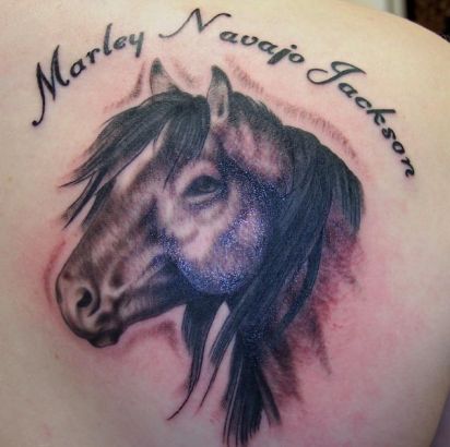 Horse And Text Tattoo
