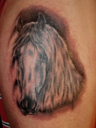 Horse Head Pics Tattoo