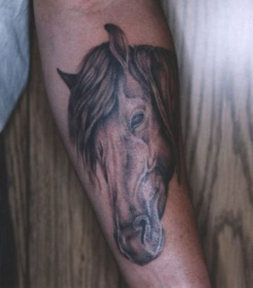 Horse Head Tattoos