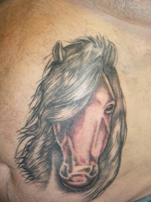 Horse Head Image Tattoo