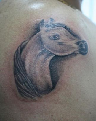 Horse Head Images Tattoo
