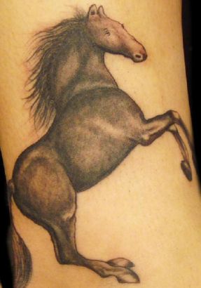 Horse Image Tattoos