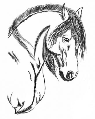 Horse Head  Tattoo Free