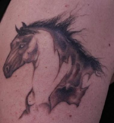 Horse Tattoos Images