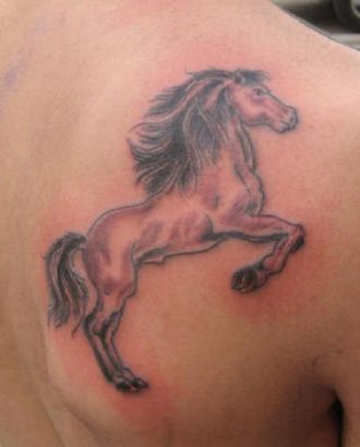 Horse Tattoos Image