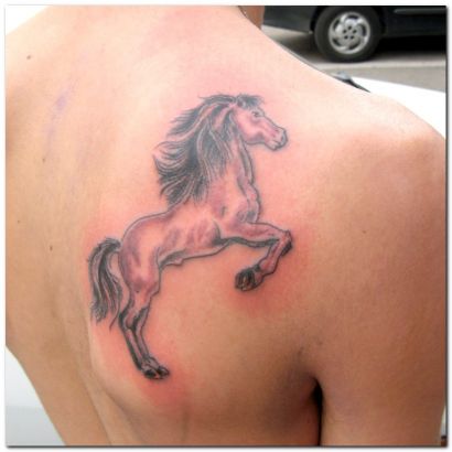 Horse Tattoo For Man