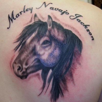 Animal tattoos, Horse tattoos, Tattoos of Animal, Tattoos of Horse, Animal tats, Horse tats, Animal free tattoo designs, Horse free tattoo designs, Animal tattoos picture, Horse tattoos picture, Animal pictures tattoos, Horse pictures tattoos, Animal free tattoos, Horse free tattoos, Animal tattoo, Horse tattoo, Animal tattoos idea, Horse tattoos idea, Animal tattoo ideas, Horse tattoo ideas, horse and text tattoo