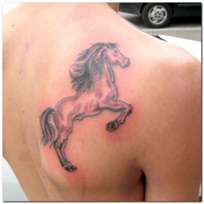 Animal tattoos, Horse tattoos, Tattoos of Animal, Tattoos of Horse, Animal tats, Horse tats, Animal free tattoo designs, Horse free tattoo designs, Animal tattoos picture, Horse tattoos picture, Animal pictures tattoos, Horse pictures tattoos, Animal free tattoos, Horse free tattoos, Animal tattoo, Horse tattoo, Animal tattoos idea, Horse tattoos idea, Animal tattoo ideas, Horse tattoo ideas, horse tattoo for man