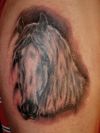 horse head pics tattoo