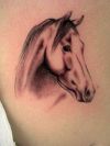 horse head tattoo