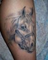 horse head tattoo design