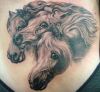 horse heads tattoo