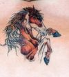horse images tattoo
