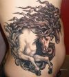 horse tattoo on side stomach