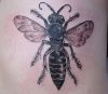 bee pic tattoos