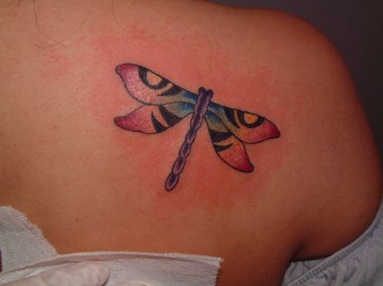 Dragonfly Tattoo Pic