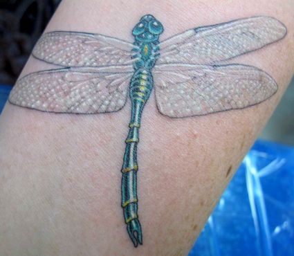 Dragonfly Pics Of Tattoo Design