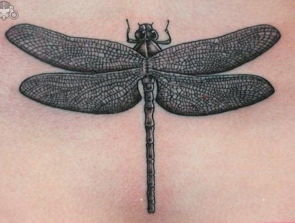 Dragonfly Tat Design