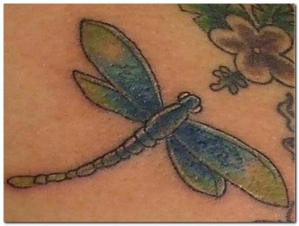 Dragonfly Free Tattoos