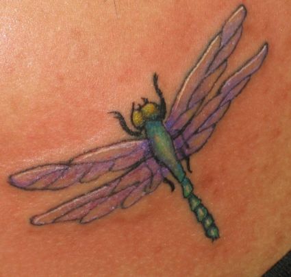 Dragonfly Pic Tat