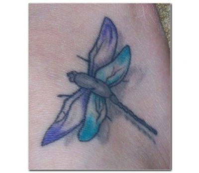 Animal tattoos, Insects tattoos, Dragonfly tattoos, Tattoos of Animal, Tattoos of Insects, Tattoos of Dragonfly, Animal tats, Insects tats, Dragonfly tats, Animal free tattoo designs, Insects free tattoo designs, Dragonfly free tattoo designs, Animal tattoos picture, Insects tattoos picture, Dragonfly tattoos picture, Animal pictures tattoos, Insects pictures tattoos, Dragonfly pictures tattoos, Animal free tattoos, Insects free tattoos, Dragonfly free tattoos, Animal tattoo, Insects tattoo, Dragonfly tattoo, Animal tattoos idea, Insects tattoos idea, Dragonfly tattoos idea, Animal tattoo ideas, Insects tattoo ideas, Dragonfly tattoo ideas, dragonfly tattoo pics