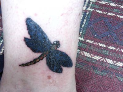 Animal tattoos, Insects tattoos, Dragonfly tattoos, Tattoos of Animal, Tattoos of Insects, Tattoos of Dragonfly, Animal tats, Insects tats, Dragonfly tats, Animal free tattoo designs, Insects free tattoo designs, Dragonfly free tattoo designs, Animal tattoos picture, Insects tattoos picture, Dragonfly tattoos picture, Animal pictures tattoos, Insects pictures tattoos, Dragonfly pictures tattoos, Animal free tattoos, Insects free tattoos, Dragonfly free tattoos, Animal tattoo, Insects tattoo, Dragonfly tattoo, Animal tattoos idea, Insects tattoos idea, Dragonfly tattoos idea, Animal tattoo ideas, Insects tattoo ideas, Dragonfly tattoo ideas, 3D tattoo of dragonfly