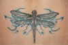 dragonfly image tattoo