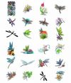 dragonfly tattoo gallery