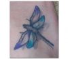 dragonfly tattoo pics