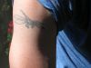 small dragonfly tattoo