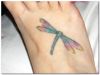 dragonfly feet tattoo