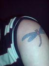 dragonfly shoulder tattoo pic