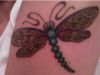 dragonfly tattoo picture