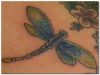 dragonfly free tattoos
