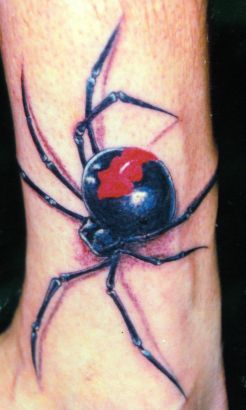 3D Redback Spider Tattoo