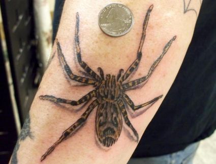 3D Spider Tattoo Pics