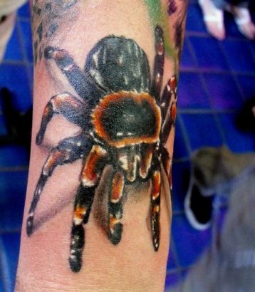 3D Spider Tattoos Images