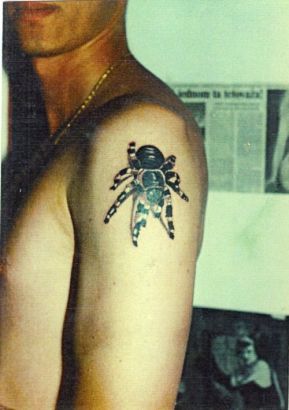 3D Spider Pic Tattoos