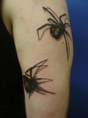 3D Spider Pics Tattoo