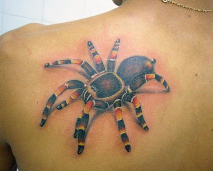 3D Spider Pics Tattoos