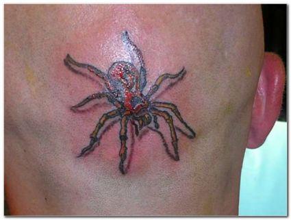 3D Spider Images Tattoos