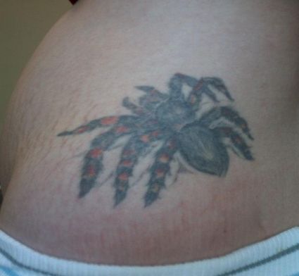 3D Spider Tattoo On Shouder