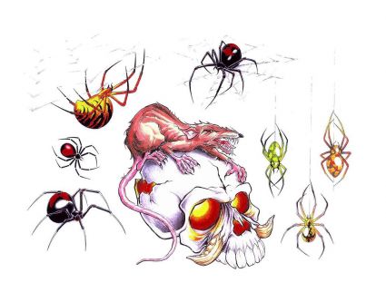 Spider Pics Tattoos Gallery