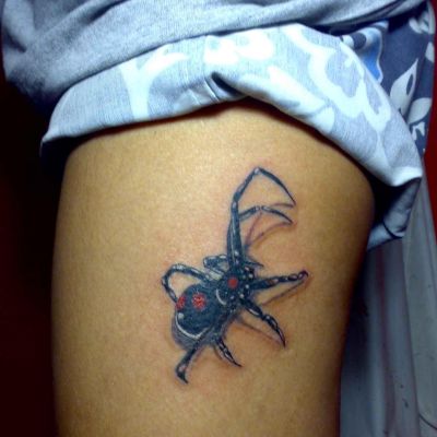 Animal tattoos, Insects tattoos, Spider tattoos, Tattoos of Animal, Tattoos of Insects, Tattoos of Spider, Animal tats, Insects tats, Spider tats, Animal free tattoo designs, Insects free tattoo designs, Spider free tattoo designs, Animal tattoos picture, Insects tattoos picture, Spider tattoos picture, Animal pictures tattoos, Insects pictures tattoos, Spider pictures tattoos, Animal free tattoos, Insects free tattoos, Spider free tattoos, Animal tattoo, Insects tattoo, Spider tattoo, Animal tattoos idea, Insects tattoos idea, Spider tattoos idea, Animal tattoo ideas, Insects tattoo ideas, Spider tattoo ideas, 3D spider tattoos